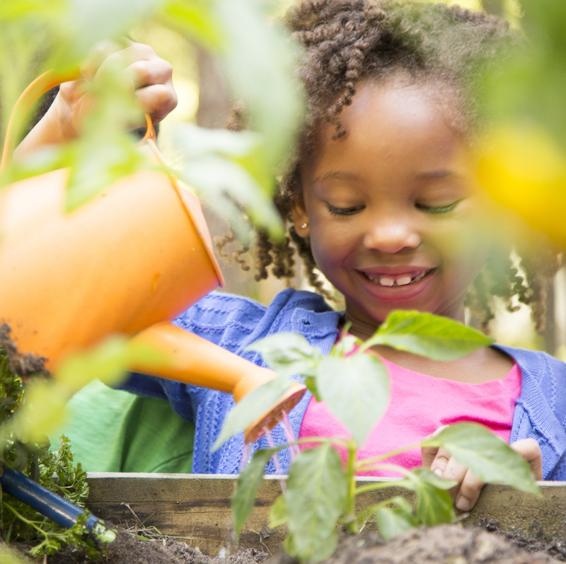 Fostering Social and Emotional Growth in Children 